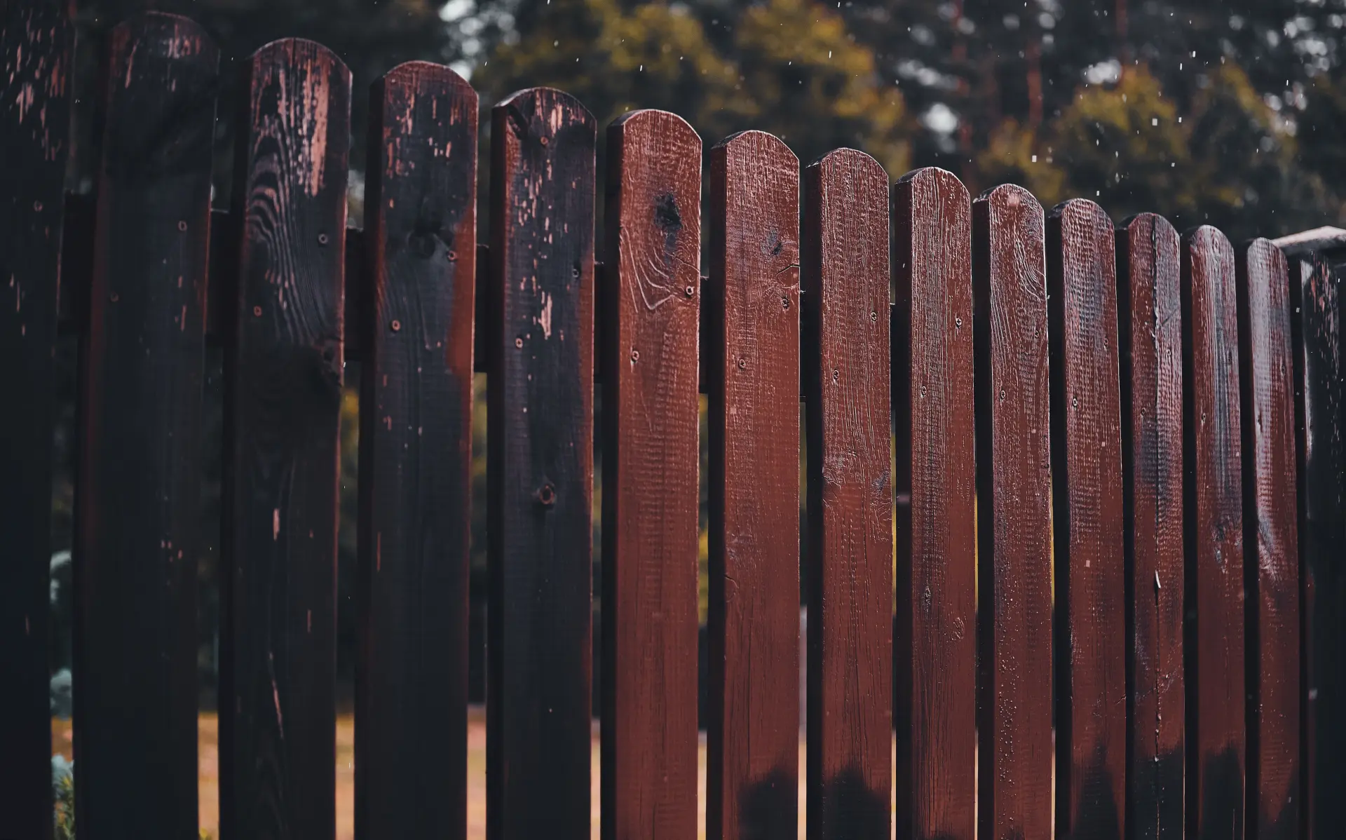 When to Repair Your Wooden Fence: Signs to Watch For